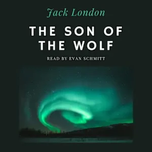 the son of the wolf audiobook narrated by Evan Schmitt