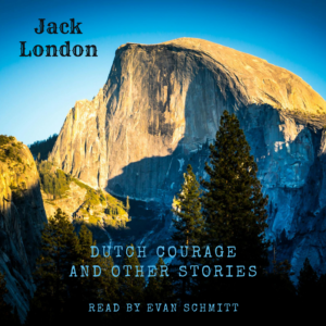 Dutch Courage audiobook narrated by Evan Schmitt
